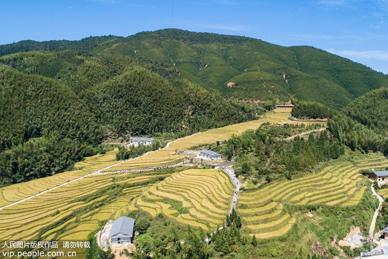 9月28日，航拍江西省崇义县上堡梯田景区。