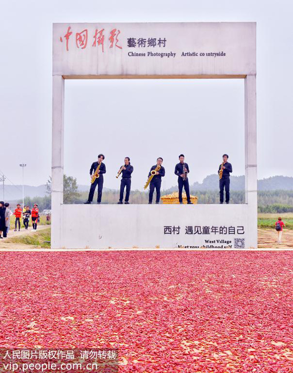 10月12日，第二届乡村里的中国·安徽宁国港口镇全国摄影大展，在港口镇西村正式启动。