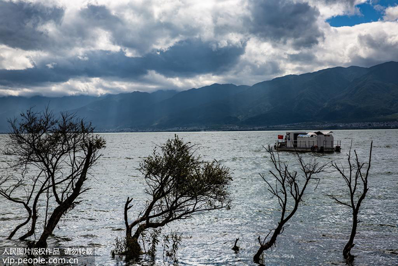 参加活动的志愿者正与大理市大理镇滩地管理员在洱海打捞水草。