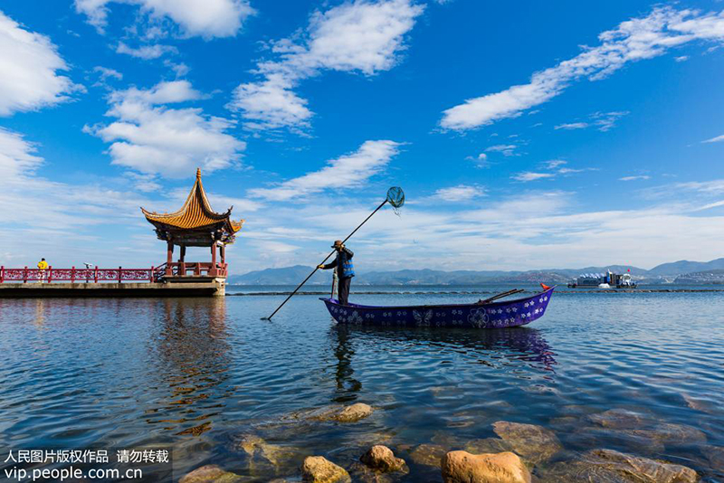 参加活动的志愿者正与大理市大理镇滩地管理员在洱海打捞水草。