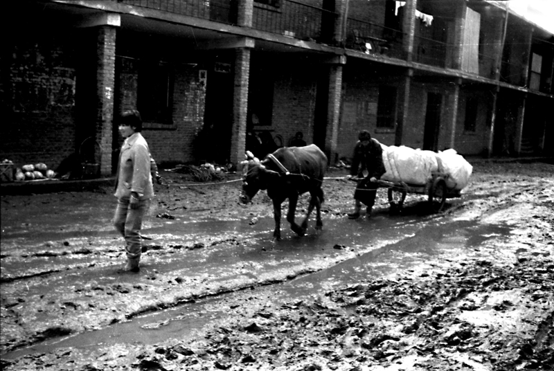 李中灿《80年代，我们的家园》组照